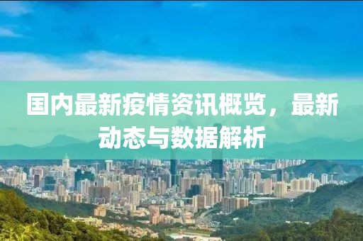 国内最新疫情资讯概览，最新动态与数据解析