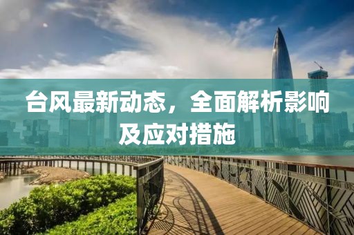 台风最新动态，全面解析影响及应对措施