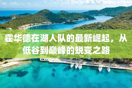 霍华德在湖人队的最新崛起，从低谷到巅峰的蜕变之路