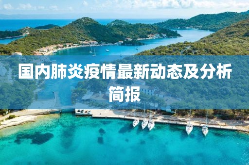 国内肺炎疫情最新动态及分析简报