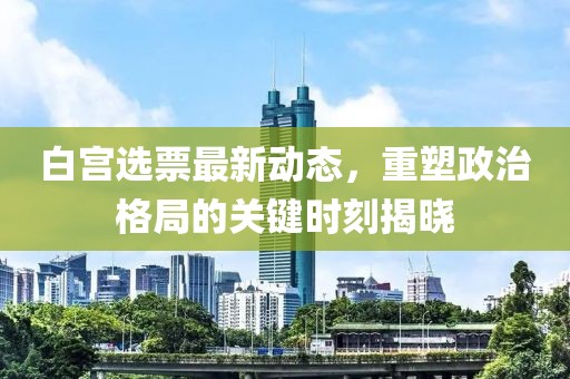 白宫选票最新动态，重塑政治格局的关键时刻揭晓