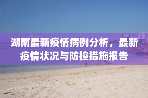 湖南最新疫情病例分析，最新疫情状况与防控措施报告