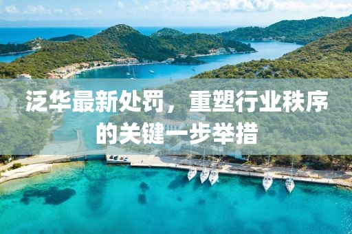泛华最新处罚，重塑行业秩序的关键一步举措
