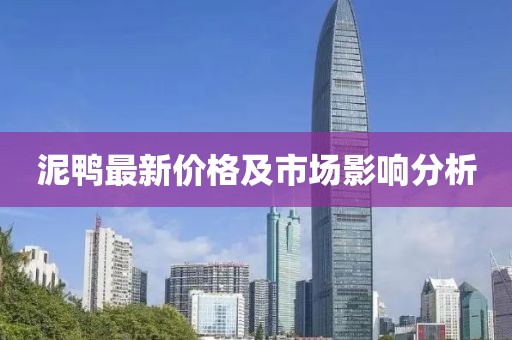 泥鸭最新价格及市场影响分析