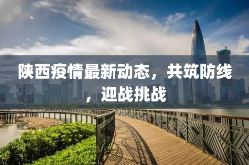 陕西疫情最新动态，共筑防线，迎战挑战
