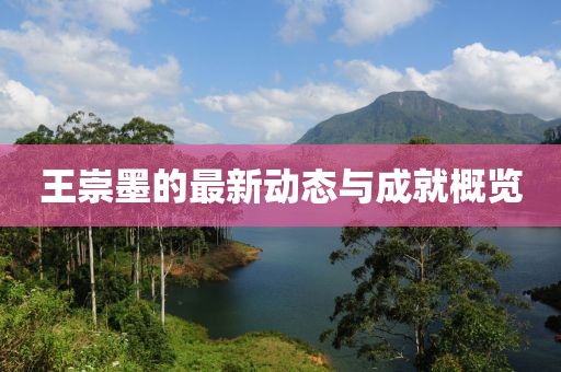 王崇墨的最新动态与成就概览