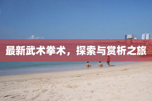 最新武术拳术，探索与赏析之旅