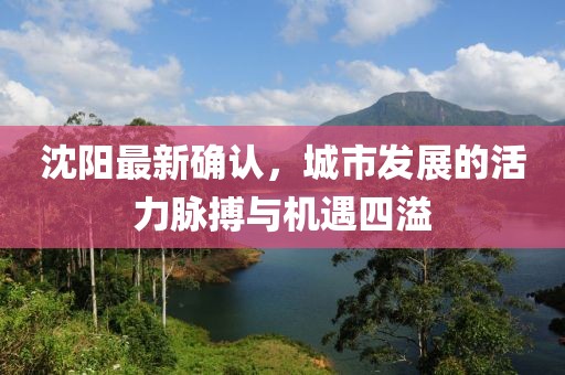沈阳最新确认，城市发展的活力脉搏与机遇四溢