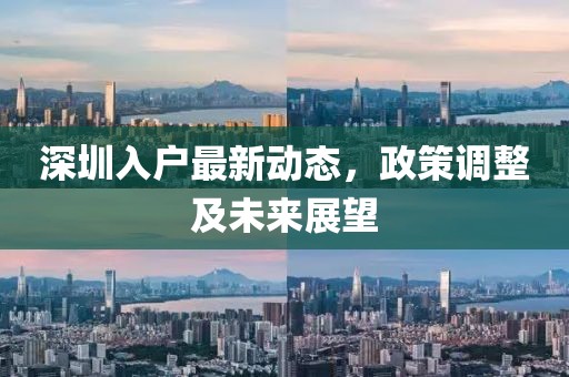 深圳入户最新动态，政策调整及未来展望