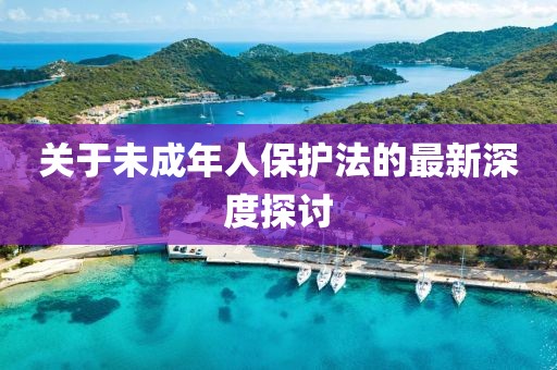 关于未成年人保护法的最新深度探讨