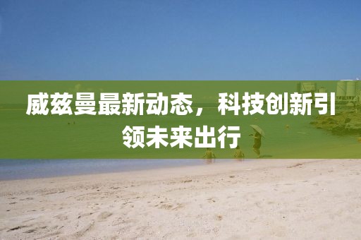 威兹曼最新动态，科技创新引领未来出行