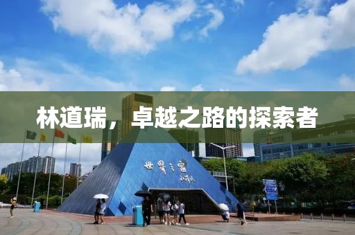 林道瑞，卓越之路的探索者