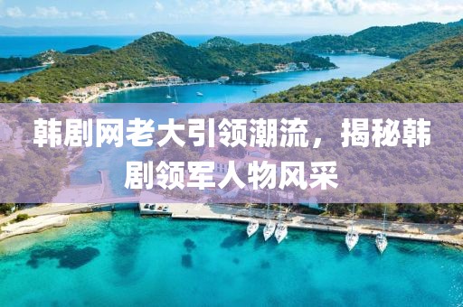 韩剧网老大引领潮流，揭秘韩剧领军人物风采