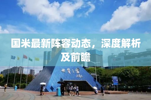 国米最新阵容动态，深度解析及前瞻