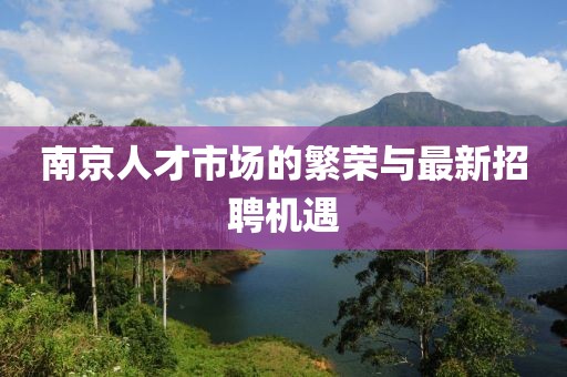 南京人才市场的繁荣与最新招聘机遇