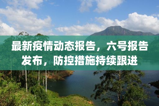 最新疫情动态报告，六号报告发布，防控措施持续跟进