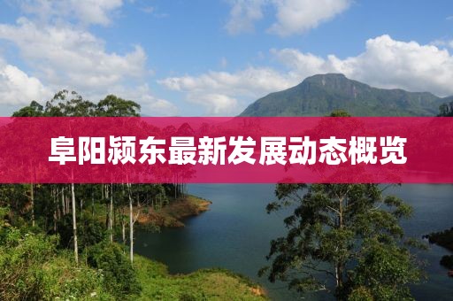 阜阳颍东最新发展动态概览