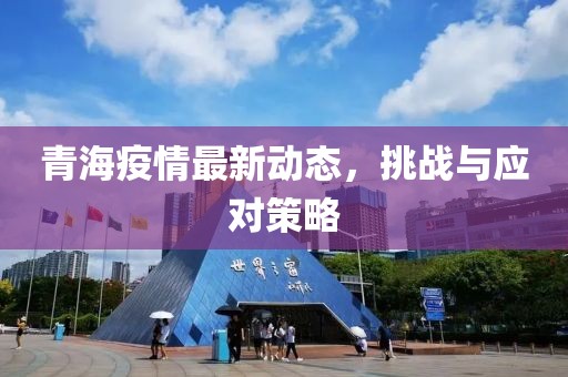 青海疫情最新动态，挑战与应对策略
