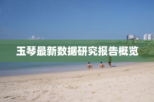 玉琴最新数据研究报告概览