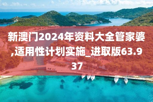新澳门2024年资料大全管家婆,适用性计划实施_进取版63.937