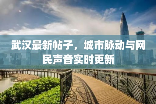 武汉最新帖子，城市脉动与网民声音实时更新