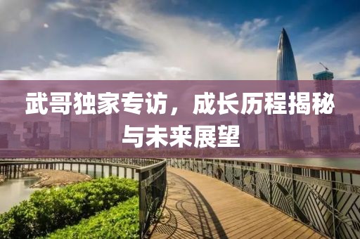 武哥独家专访，成长历程揭秘与未来展望