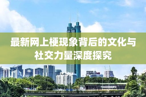 最新网上梗现象背后的文化与社交力量深度探究