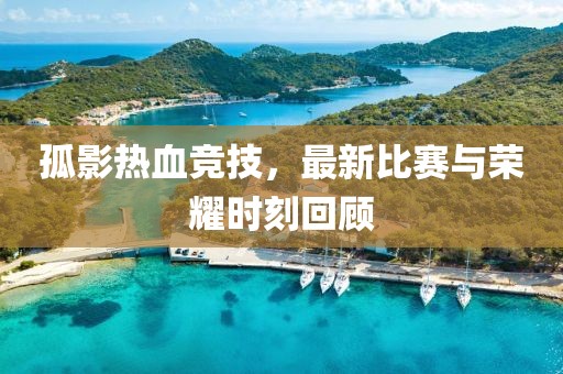 孤影热血竞技，最新比赛与荣耀时刻回顾