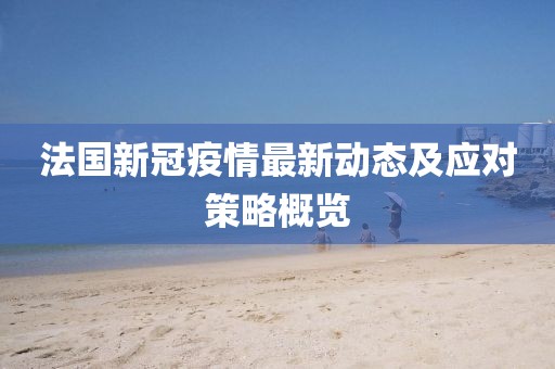 法国新冠疫情最新动态及应对策略概览
