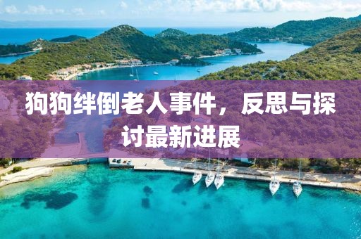 狗狗绊倒老人事件，反思与探讨最新进展