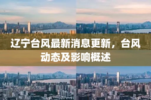 辽宁台风最新消息更新，台风动态及影响概述