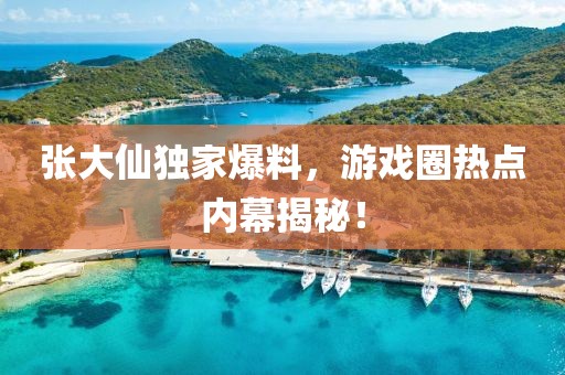 张大仙独家爆料，游戏圈热点内幕揭秘！