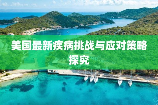 美国最新疾病挑战与应对策略探究