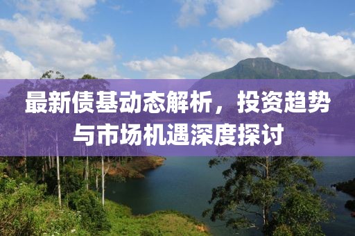 最新债基动态解析，投资趋势与市场机遇深度探讨
