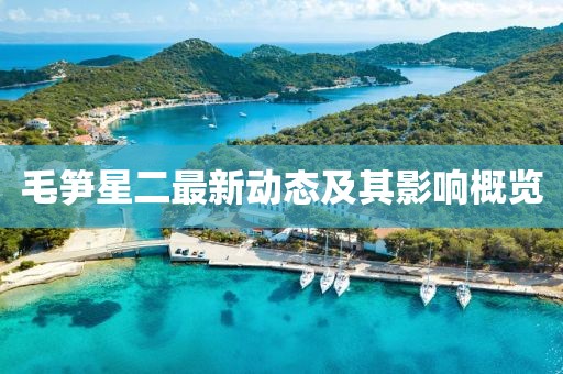 毛笋星二最新动态及其影响概览