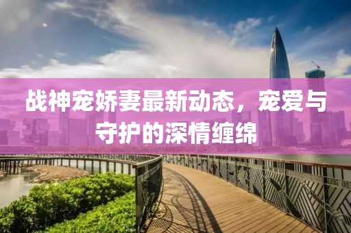 战神宠娇妻最新动态，宠爱与守护的深情缠绵
