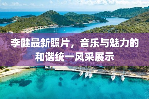 李健最新照片，音乐与魅力的和谐统一风采展示
