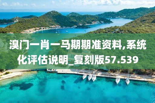 溴门一肖一马期期准资料,系统化评估说明_复刻版57.539