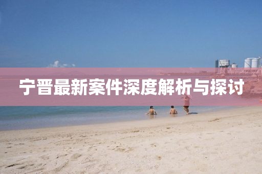 宁晋最新案件深度解析与探讨