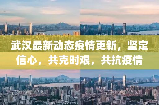 武汉最新动态疫情更新，坚定信心，共克时艰，共抗疫情