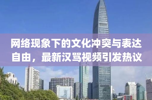 网络现象下的文化冲突与表达自由，最新汉骂视频引发热议