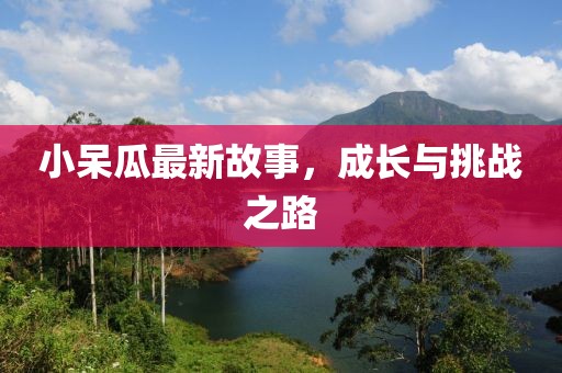 小呆瓜最新故事，成长与挑战之路