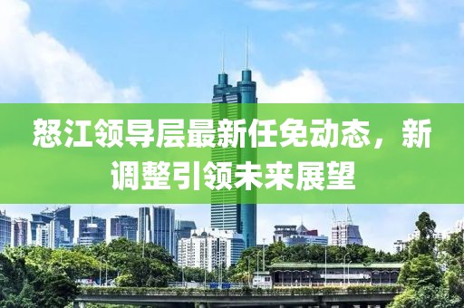怒江领导层最新任免动态，新调整引领未来展望