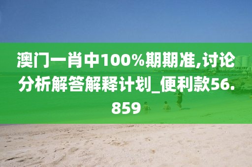 澳门一肖中100%期期准,讨论分析解答解释计划_便利款56.859