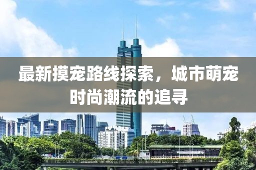 最新摸宠路线探索，城市萌宠时尚潮流的追寻