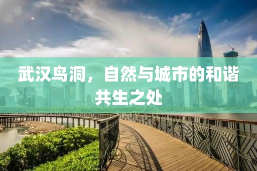 武汉鸟洞，自然与城市的和谐共生之处
