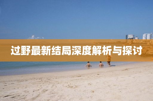 过野最新结局深度解析与探讨