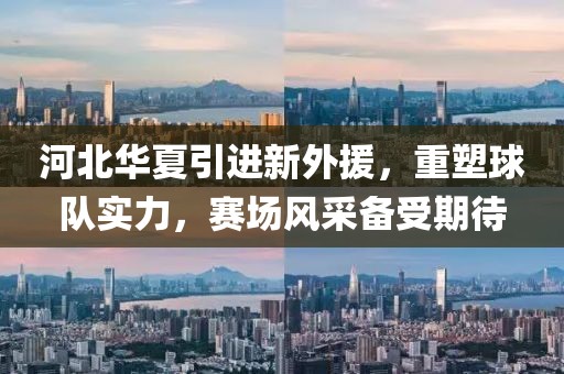 河北华夏引进新外援，重塑球队实力，赛场风采备受期待