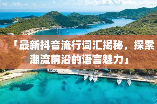 「最新抖音流行词汇揭秘，探索潮流前沿的语言魅力」