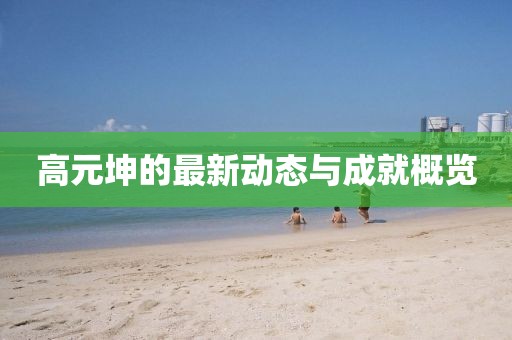 高元坤的最新动态与成就概览